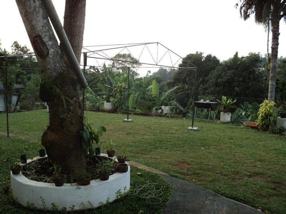 Фото Suisse Villa