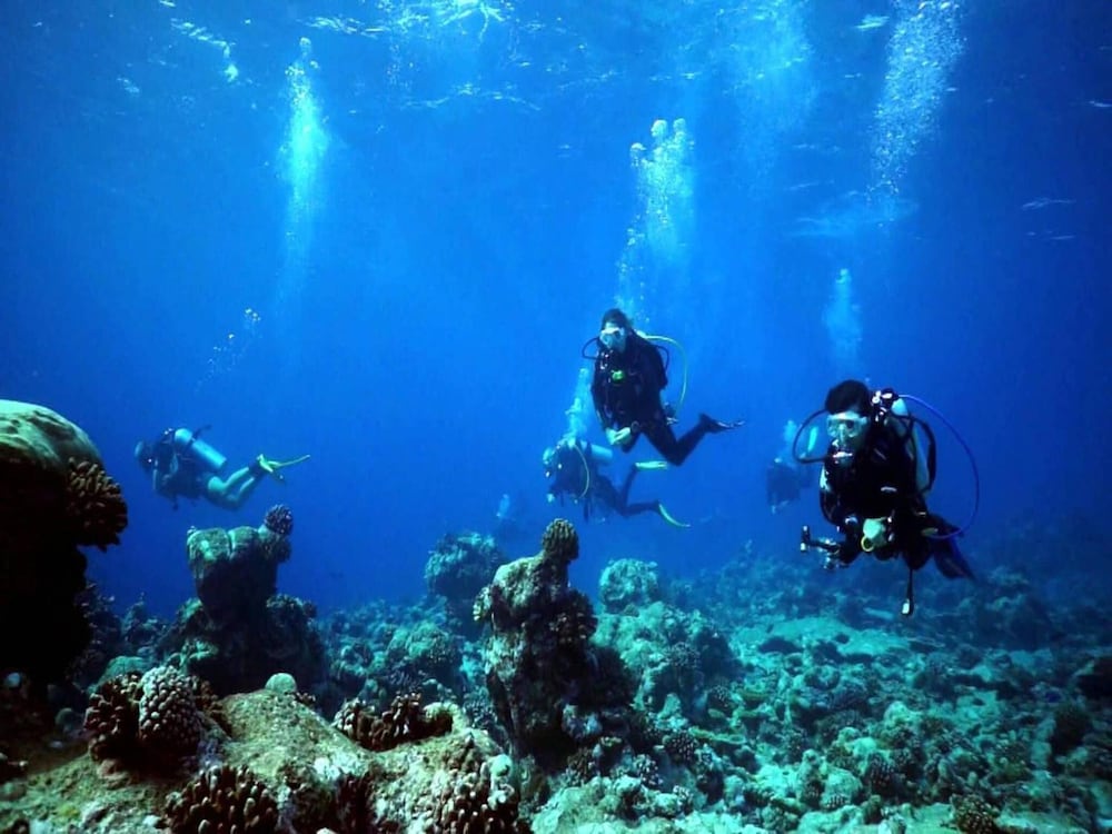 Фото Vista Beach Retreat