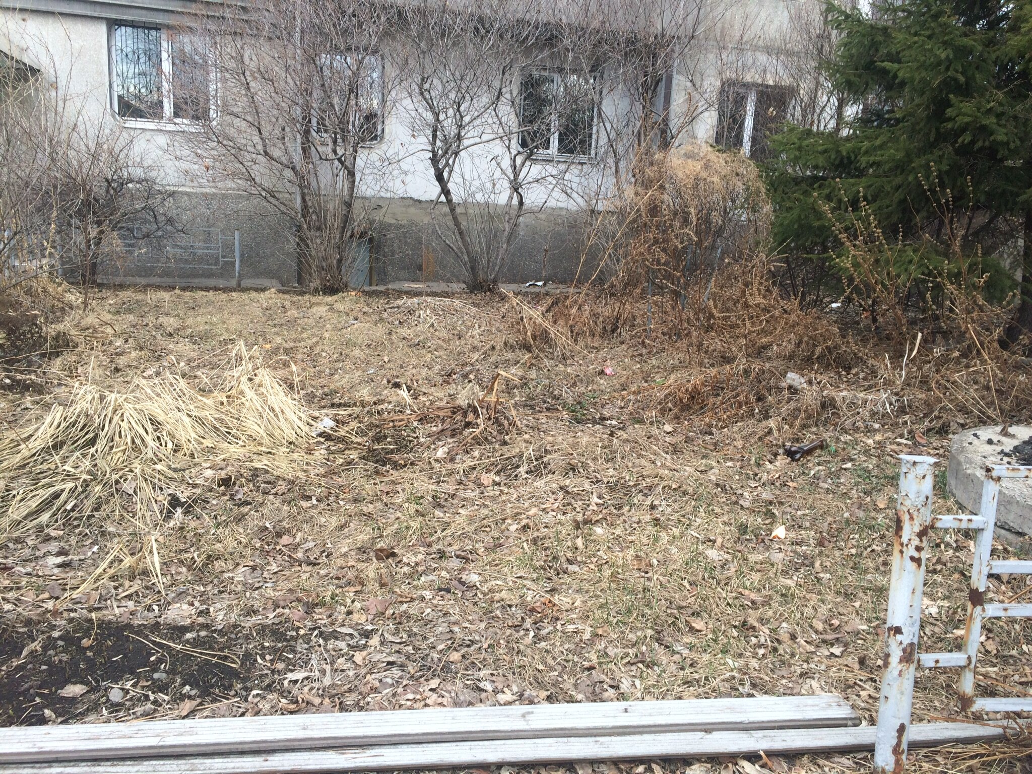 Фото Фианит