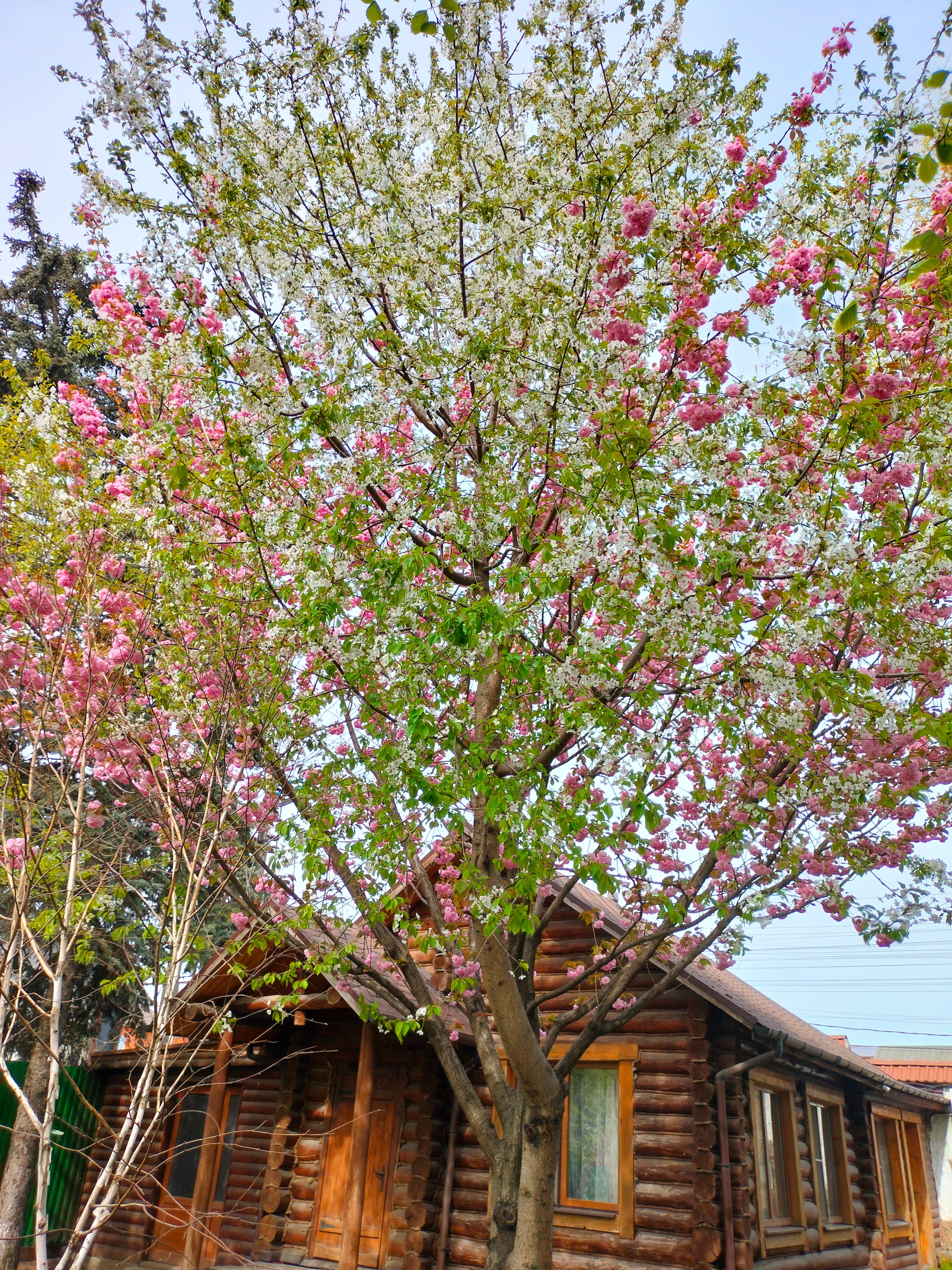 Фото Хуторок