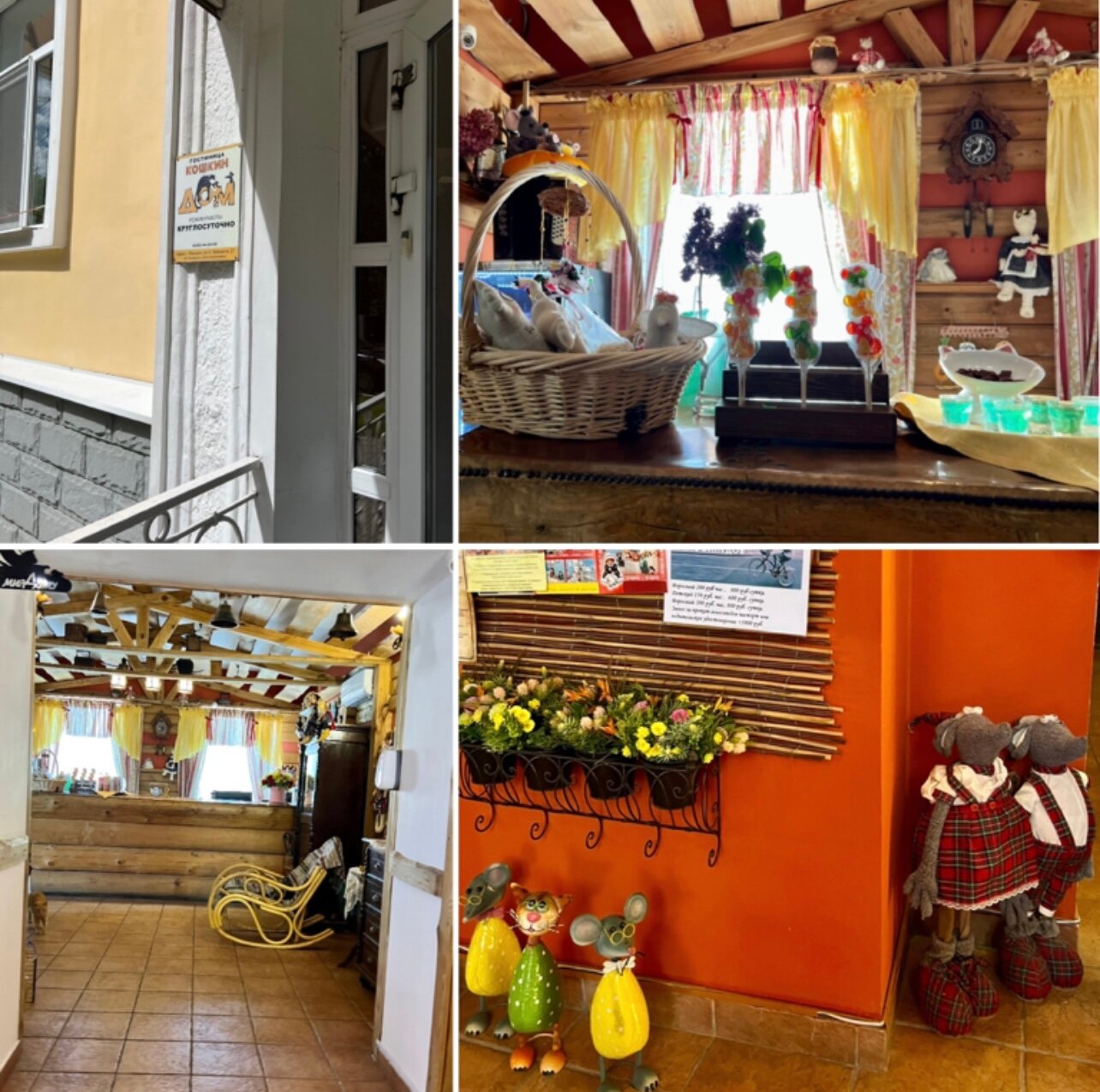 Фото Кошкин Дом