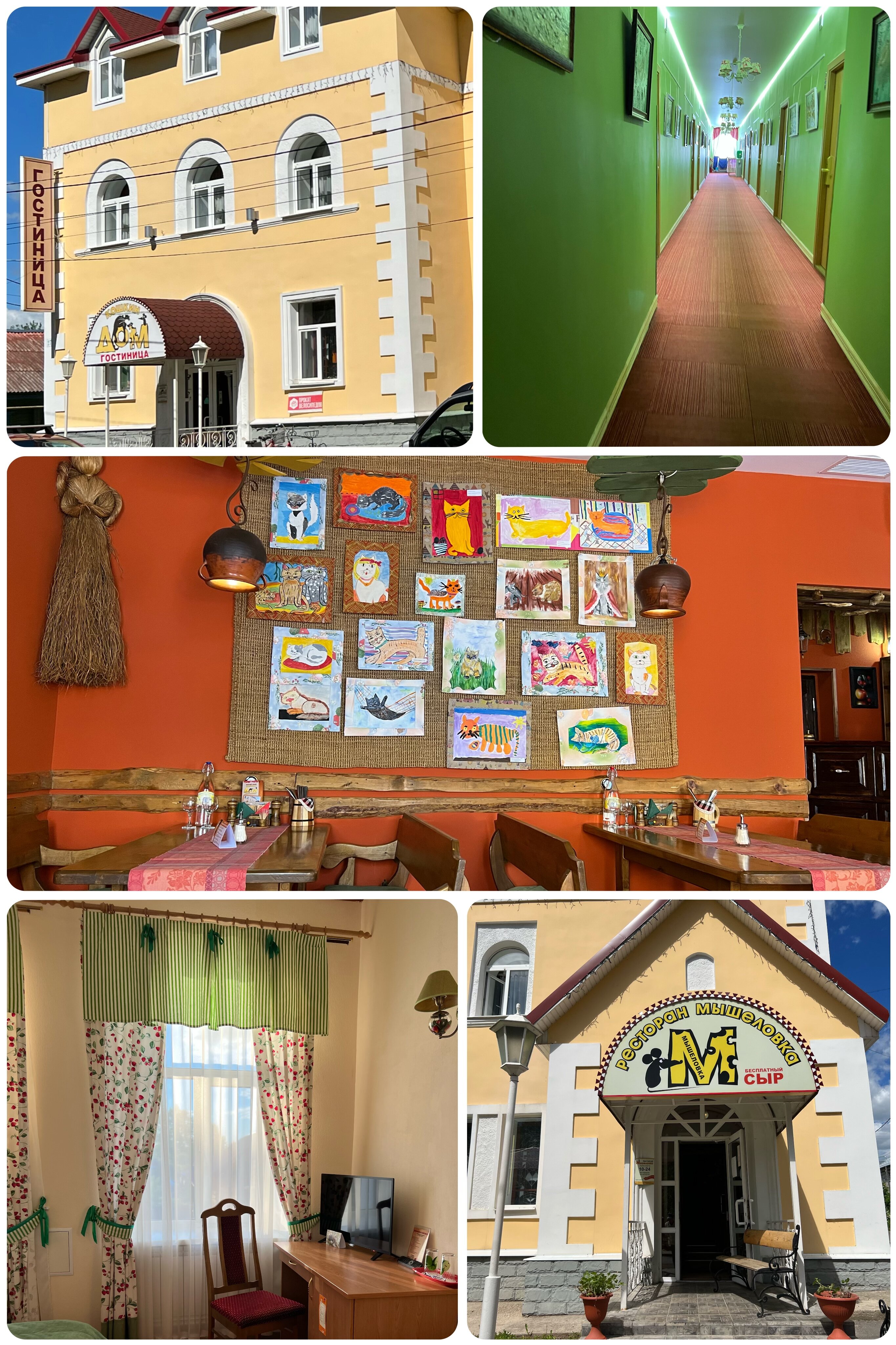 Фото Кошкин Дом