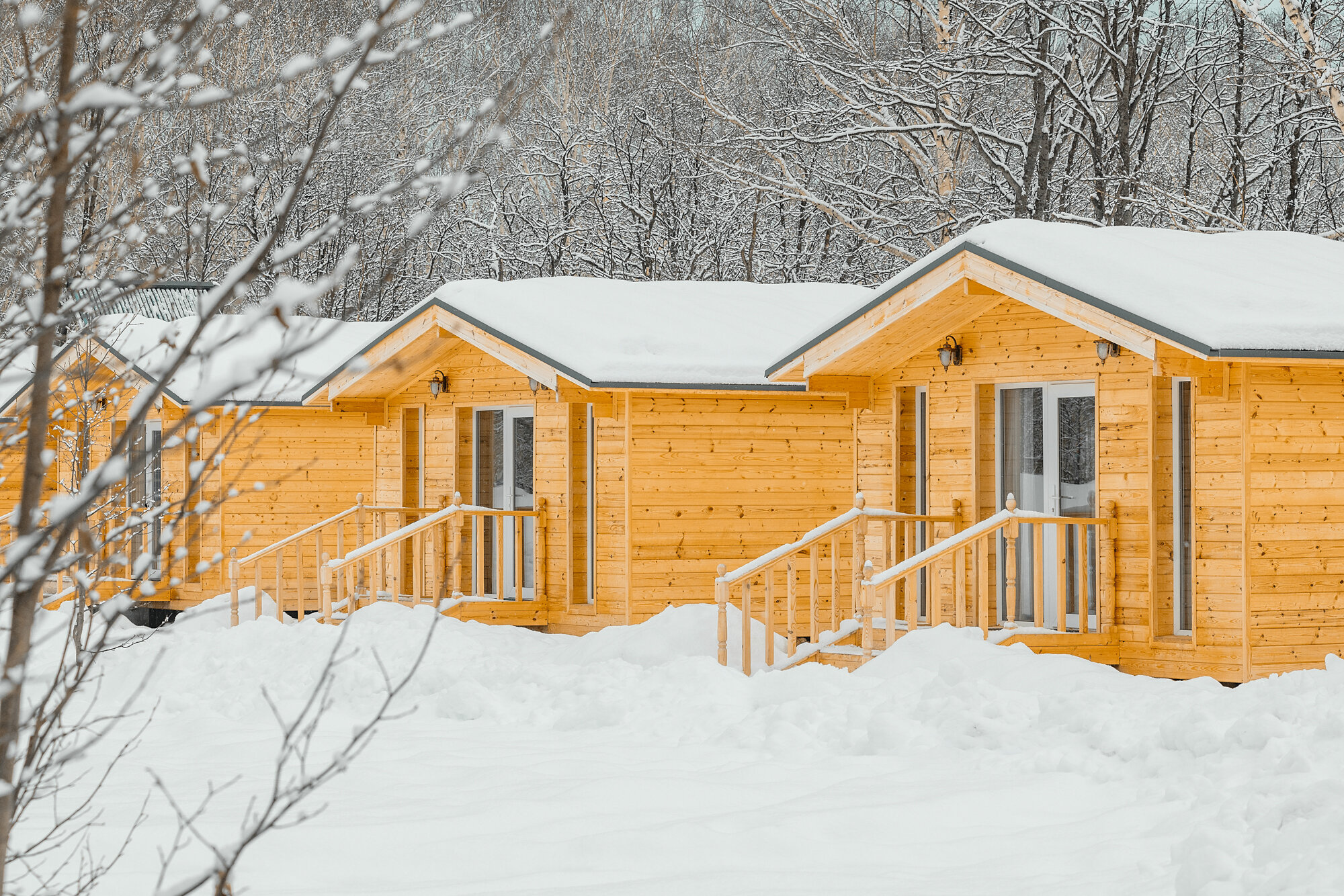 Фото Обитаемая Земля. Ойкумена