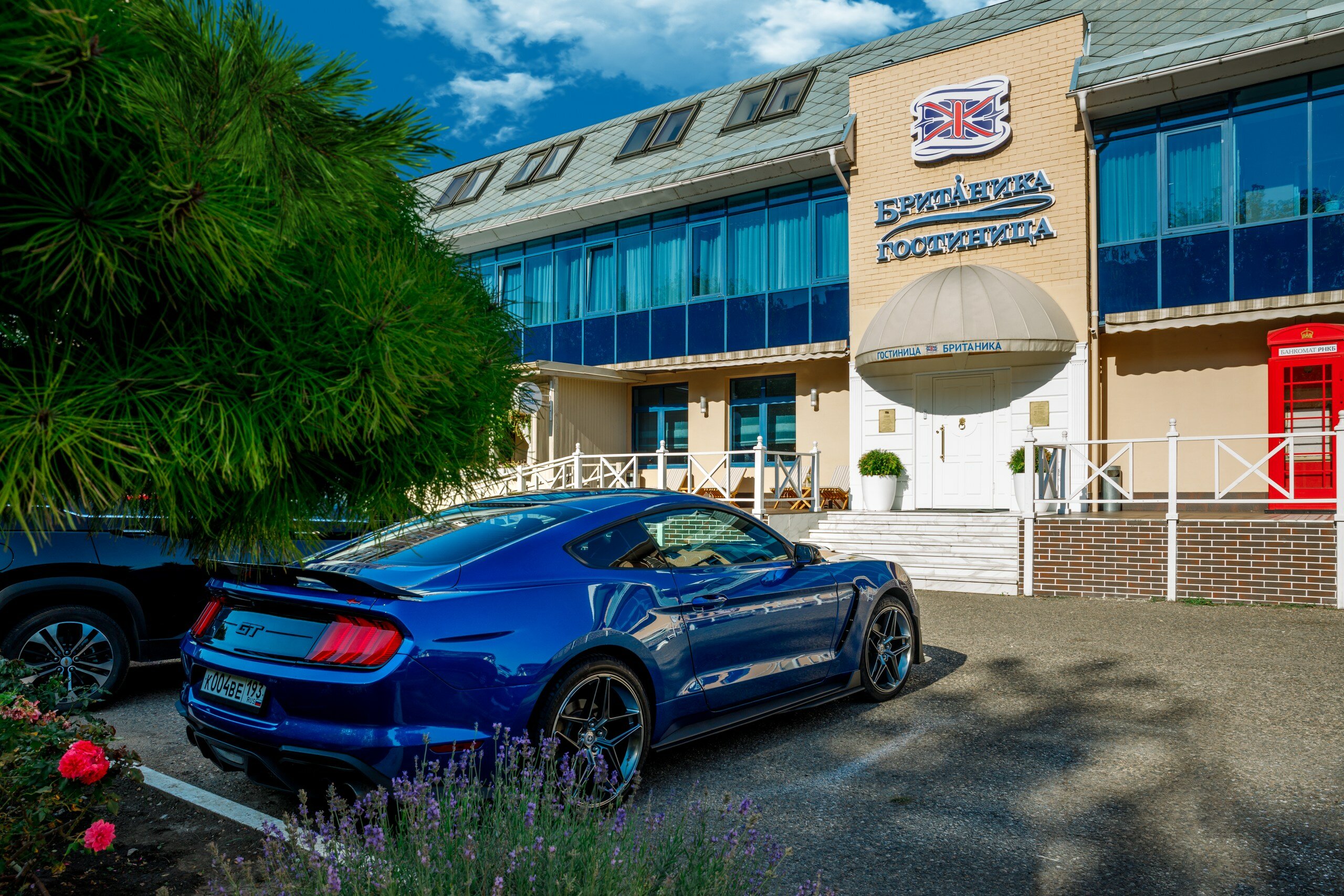 Фото Британика