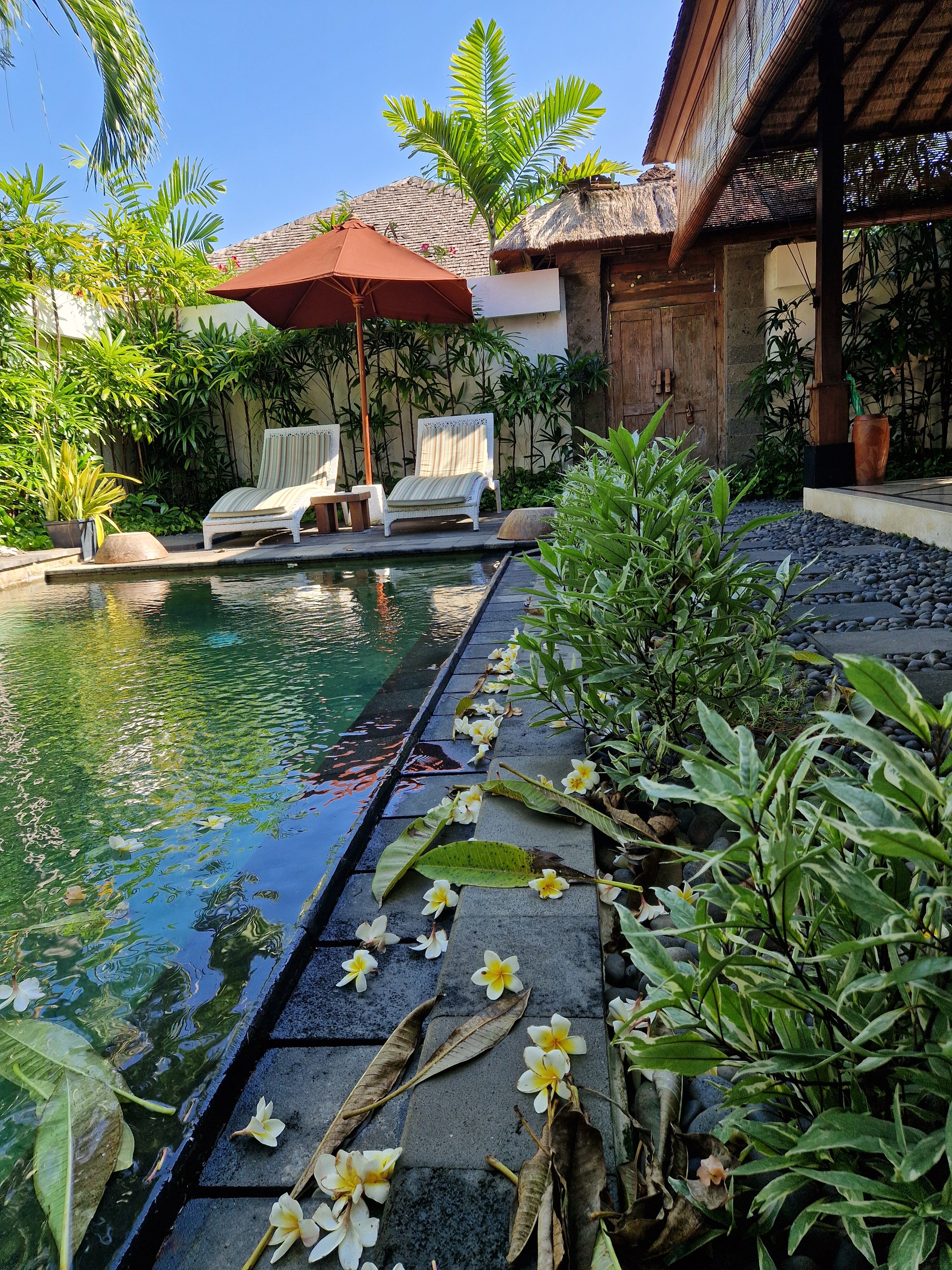 Фото Ellora Villas