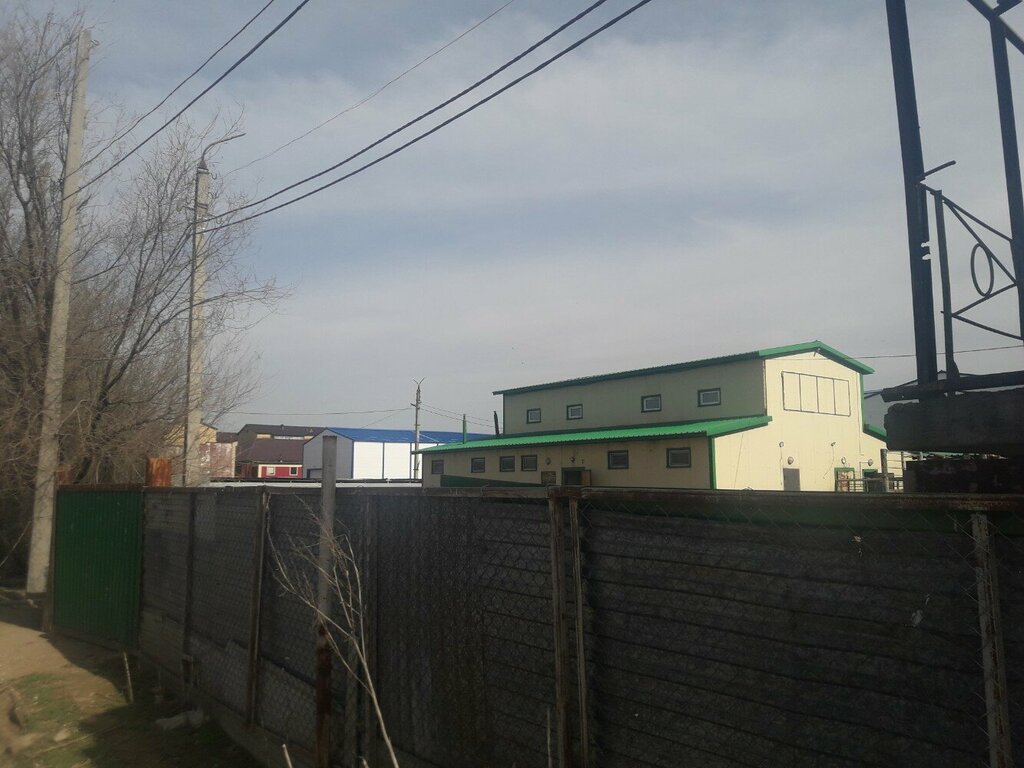 Egg and poultry meat Hammor, Uralsk, photo