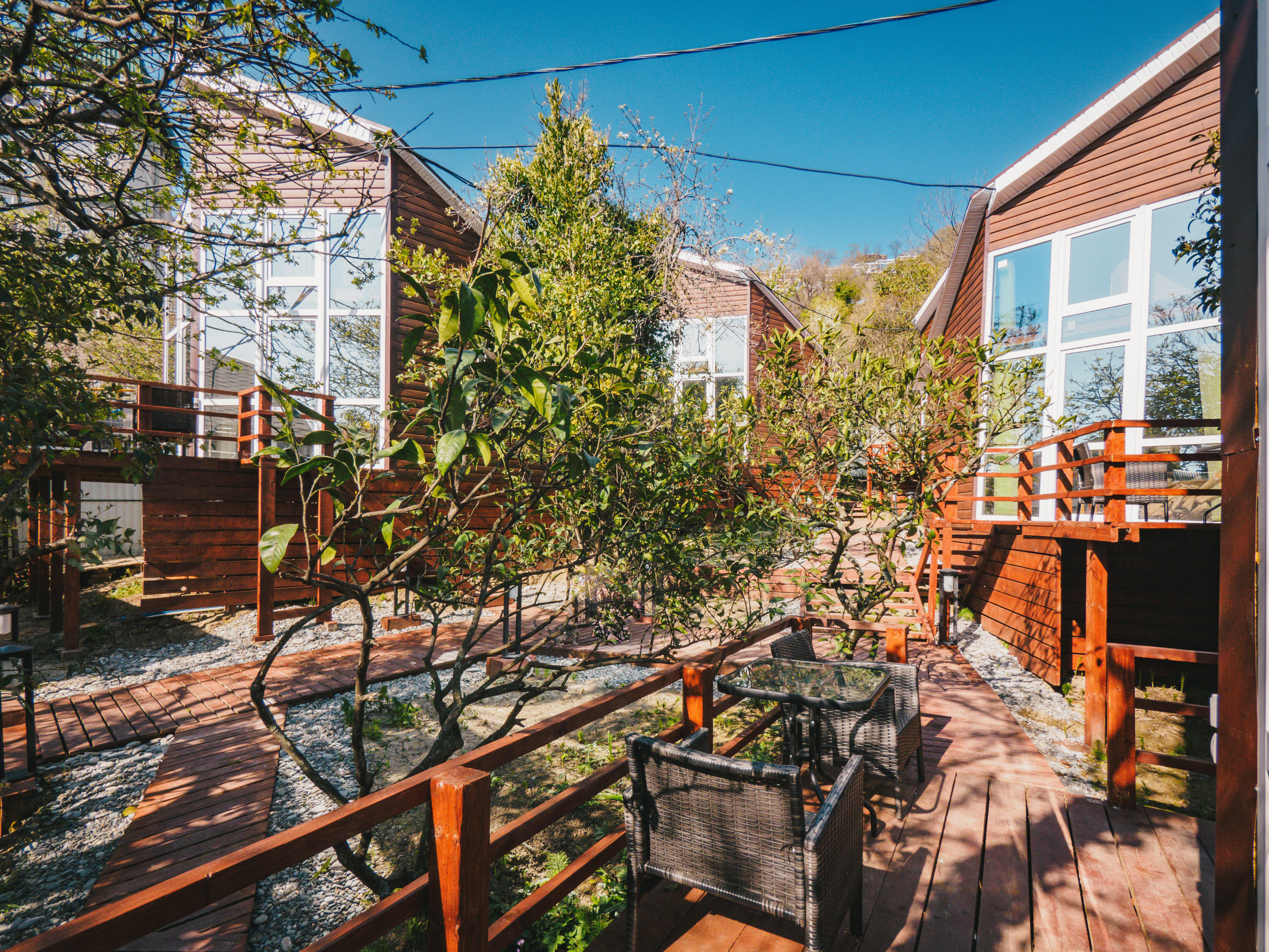 Фото Сочинский берег