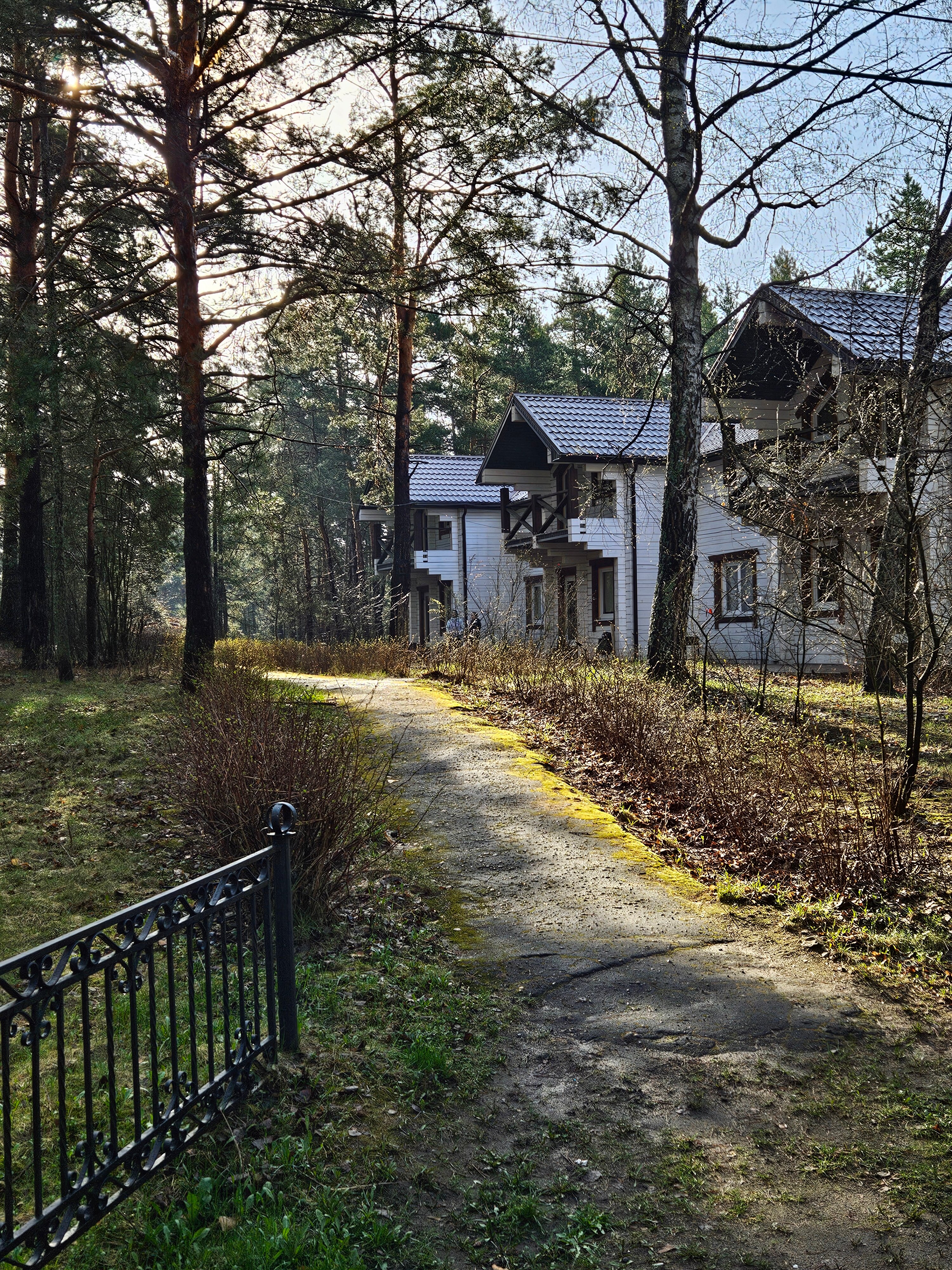 Фото Большая медведица