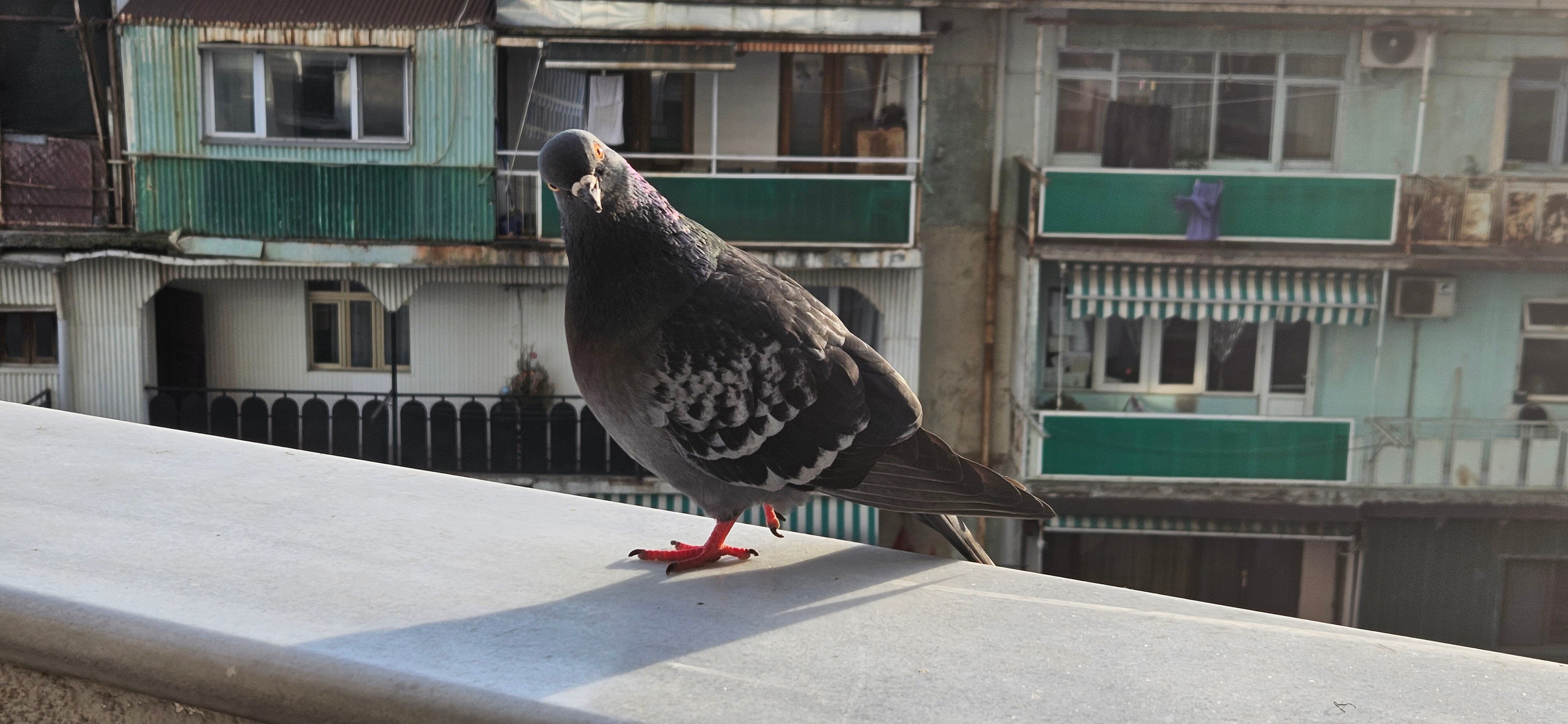 Фото Rock Hotel First Line