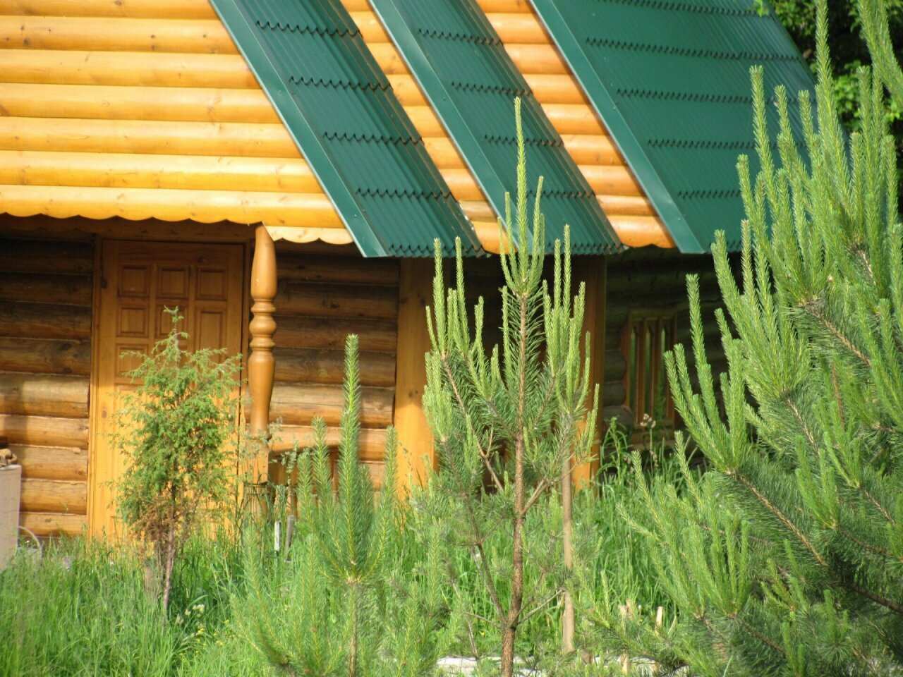 Фото Четыре стихии