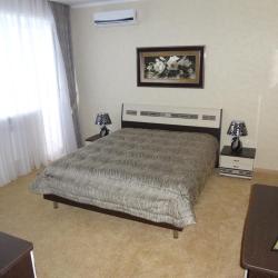 Фото Сорока