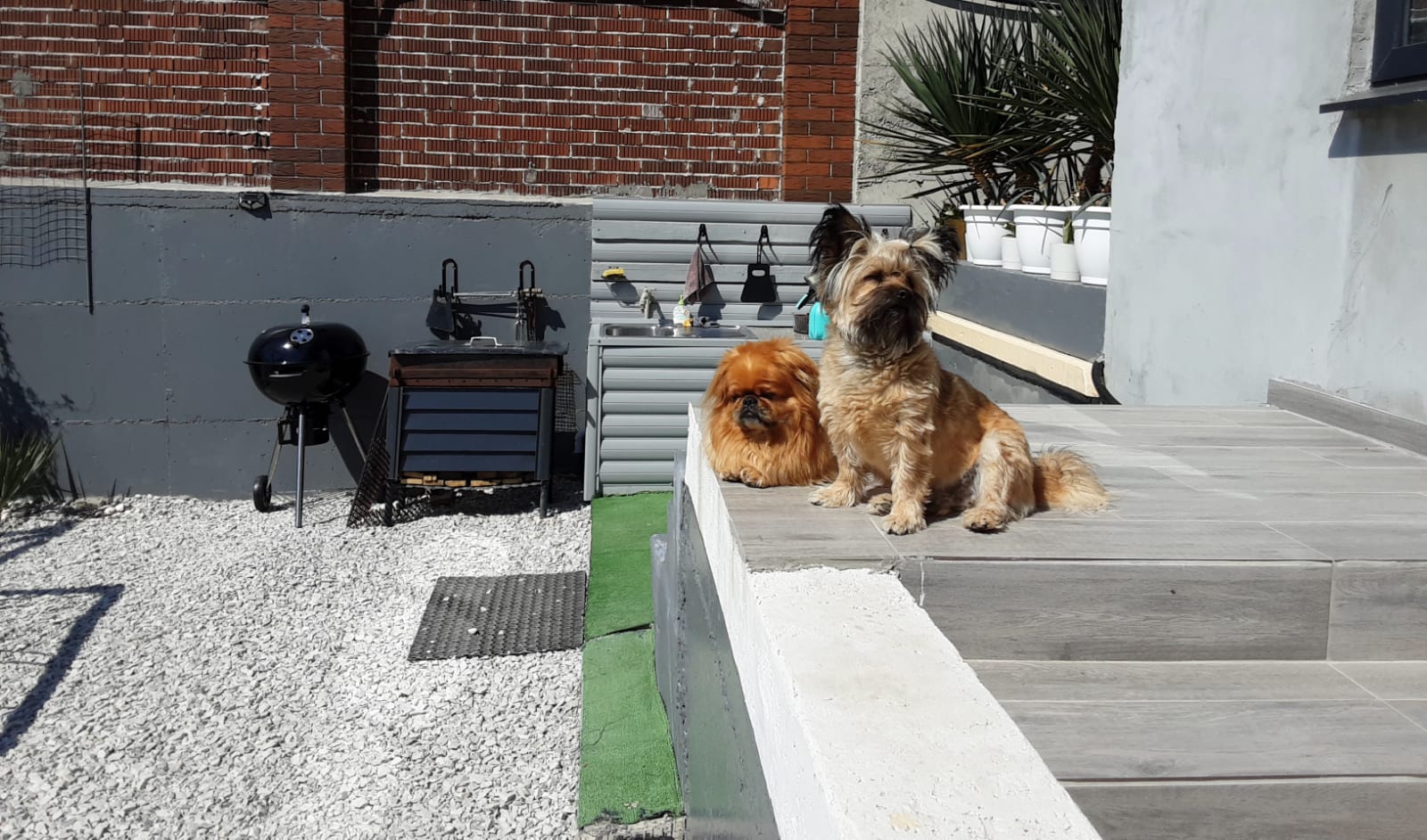 Фото Лайнер