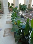 Отделение сосудистой хирургии (Marshala Timoshenko Street, 15), departamento del hospital