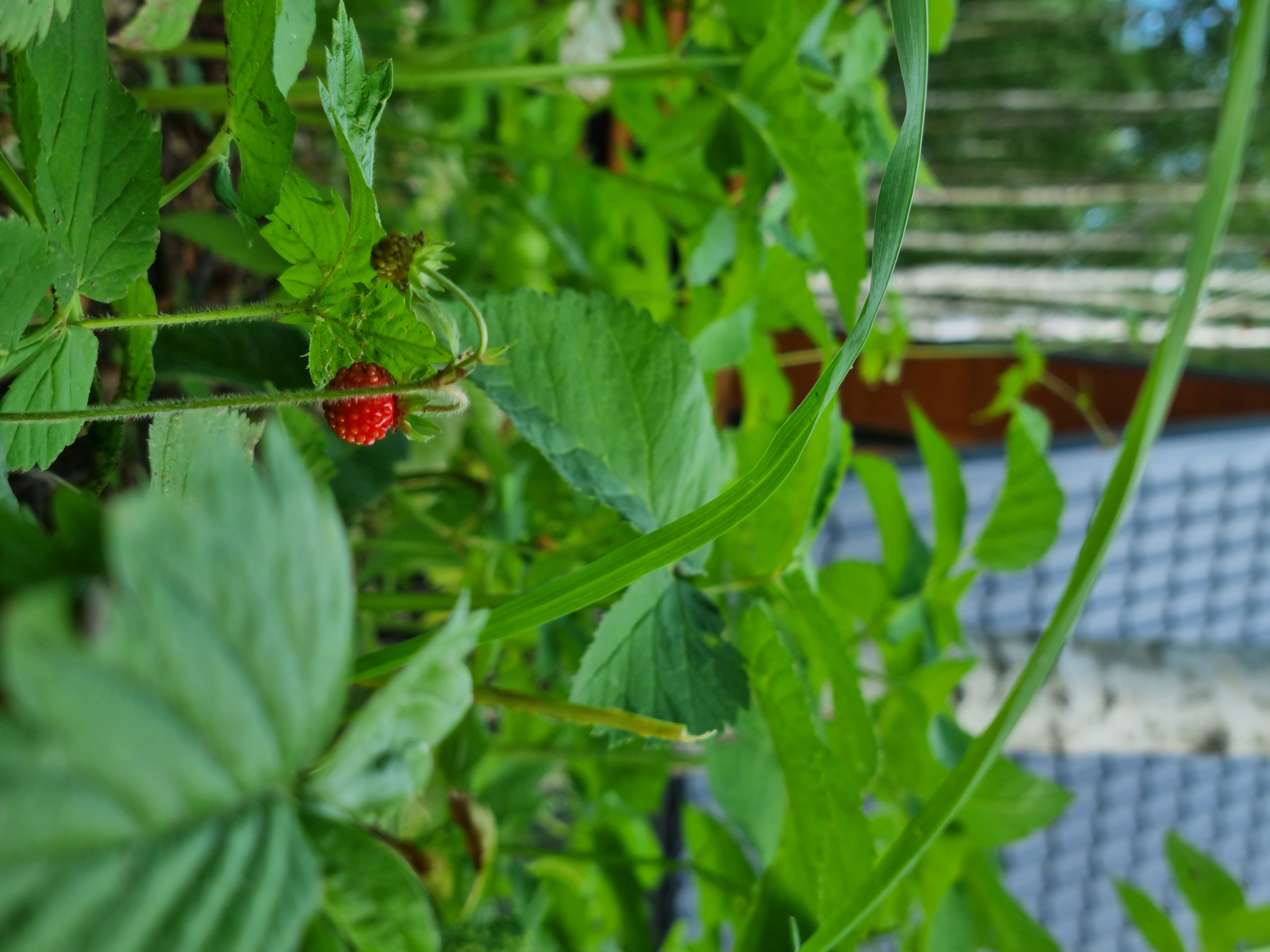 Фото АйДА relax