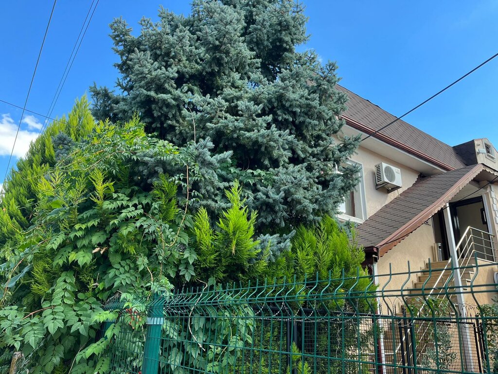 Maritime agency Mbt Shipping Services Ltd Sti, Izmit, photo