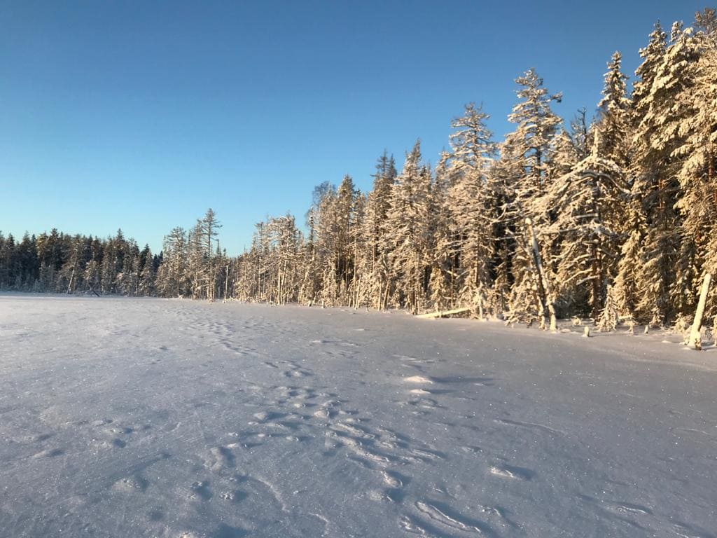 Фото Карелия Медвежка