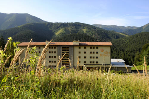 Фото Hotel Boboty