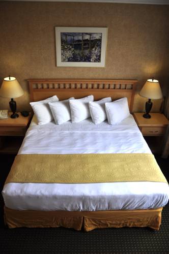 Фото Quality Inn Downtown Inner Harbour