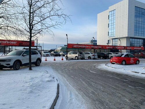 Үлкен кеуде GIF суреттері