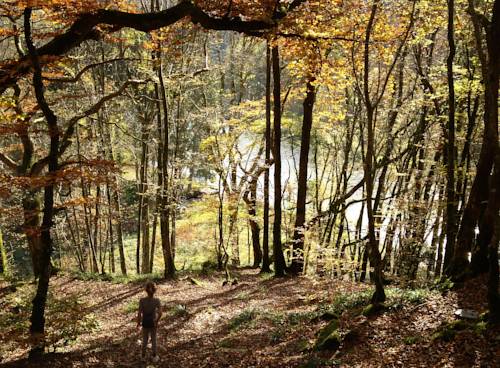 Фото Villa Cathy