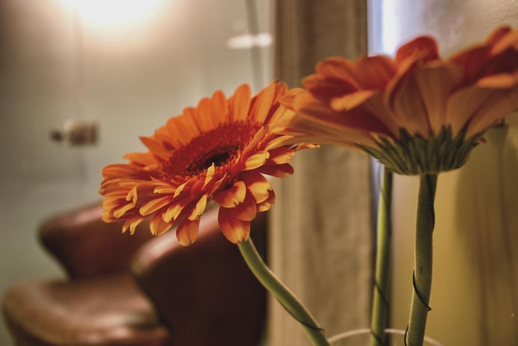 Фото Montefiore 16 - Urban Boutique Hotel