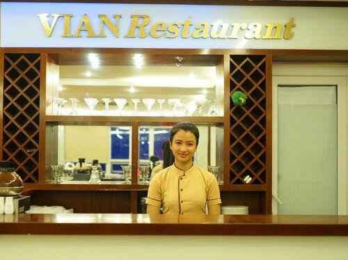 Гостиница Vian Hotel Danang в Дананге