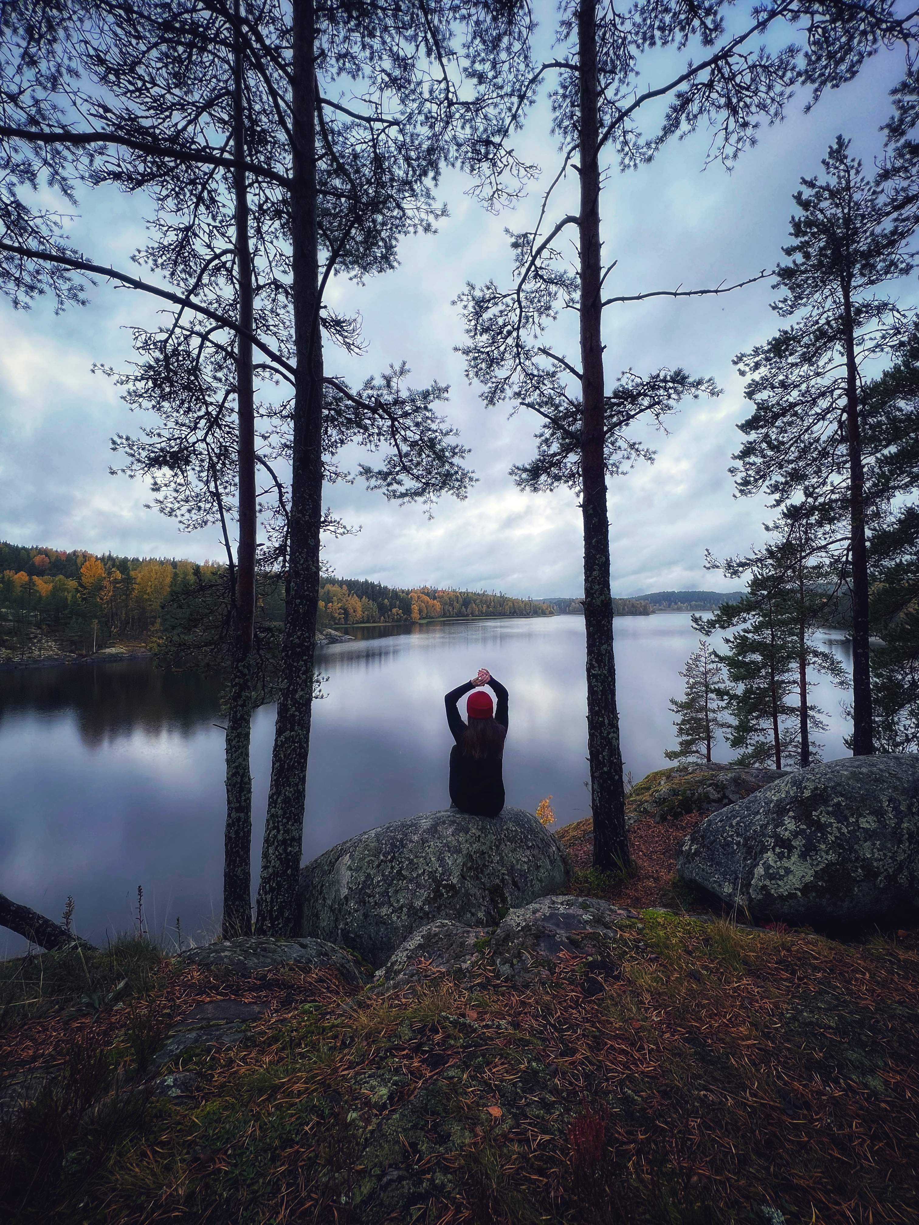 Фото Смородина