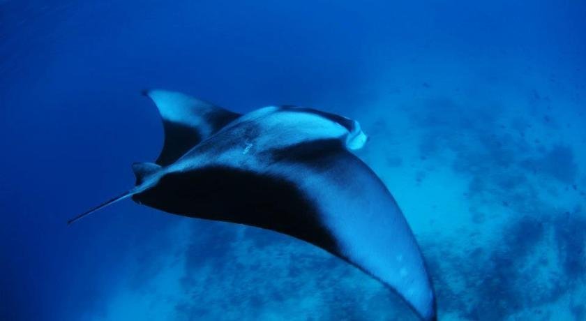 Фото Hotel Regina