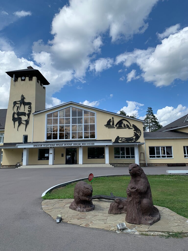 Hayvonlar panjarasi Бобронариум, Voronej, foto