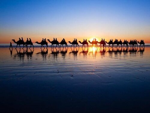 Гостиница Cable Beach Backpackers - Hostel
