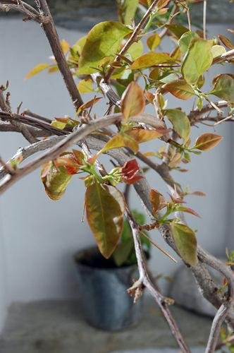 Фото Lucas Rooms