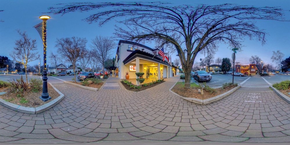 Фото Best Western Plus Palm Court Hotel