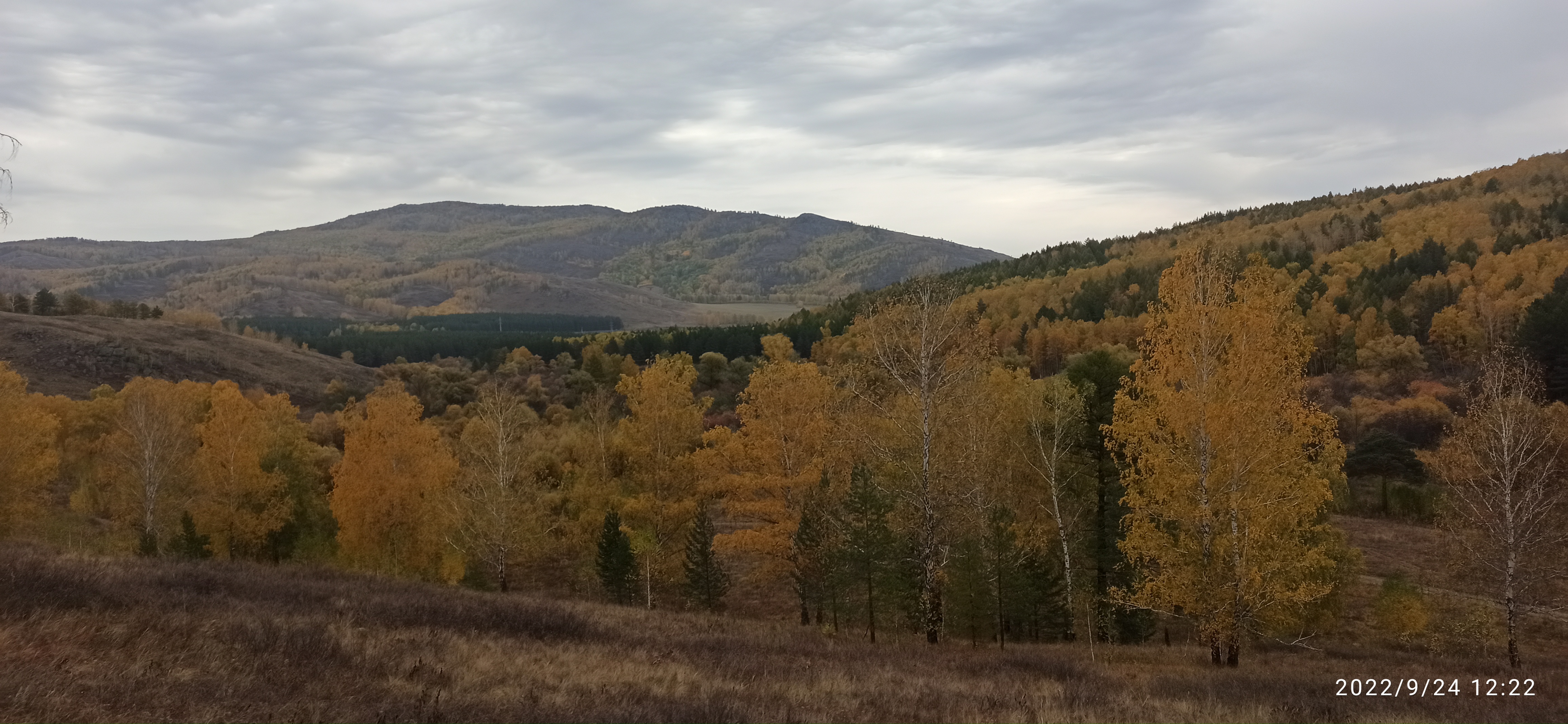 Фото Кизиловая