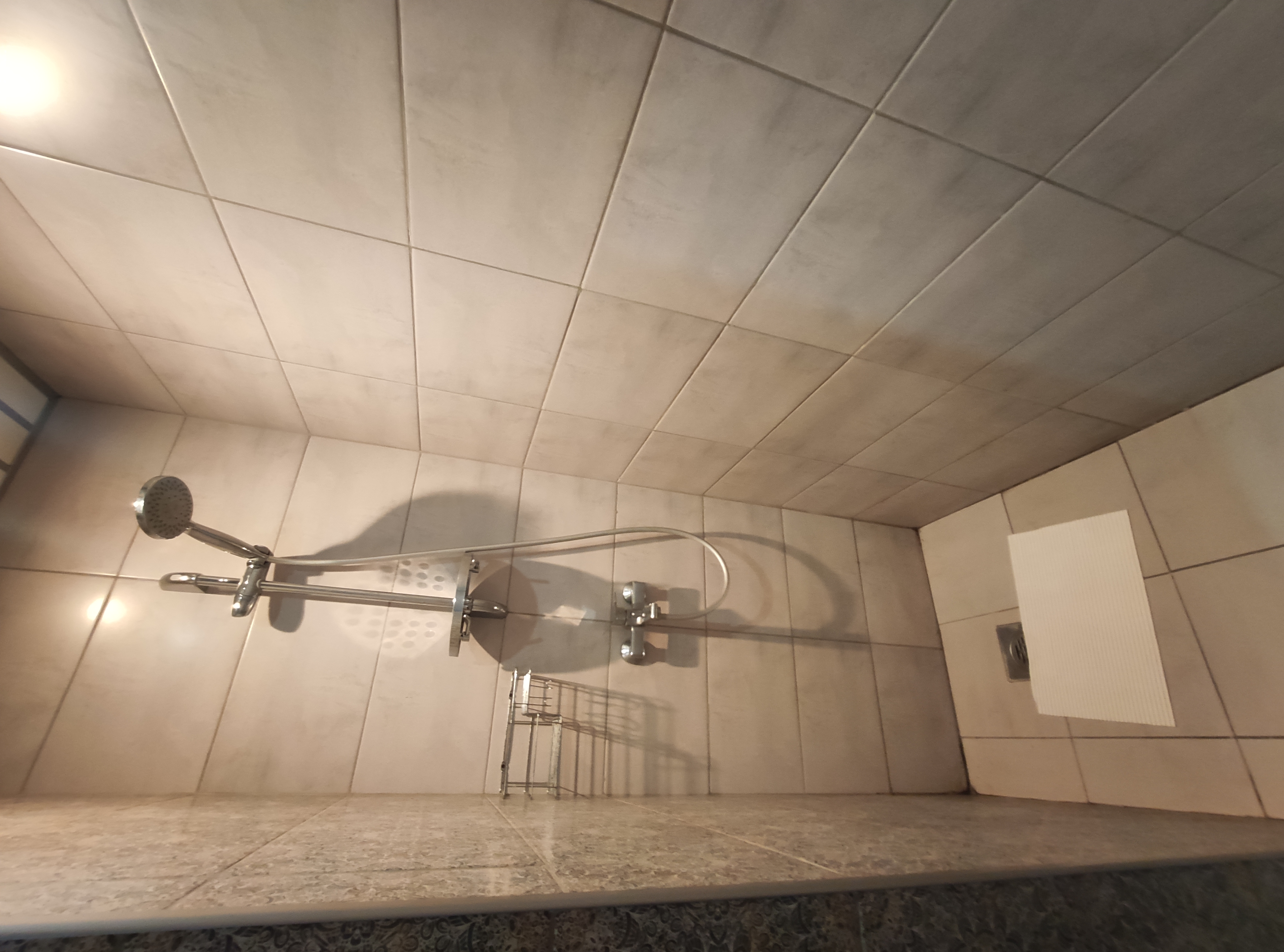 Фото Альбатрос