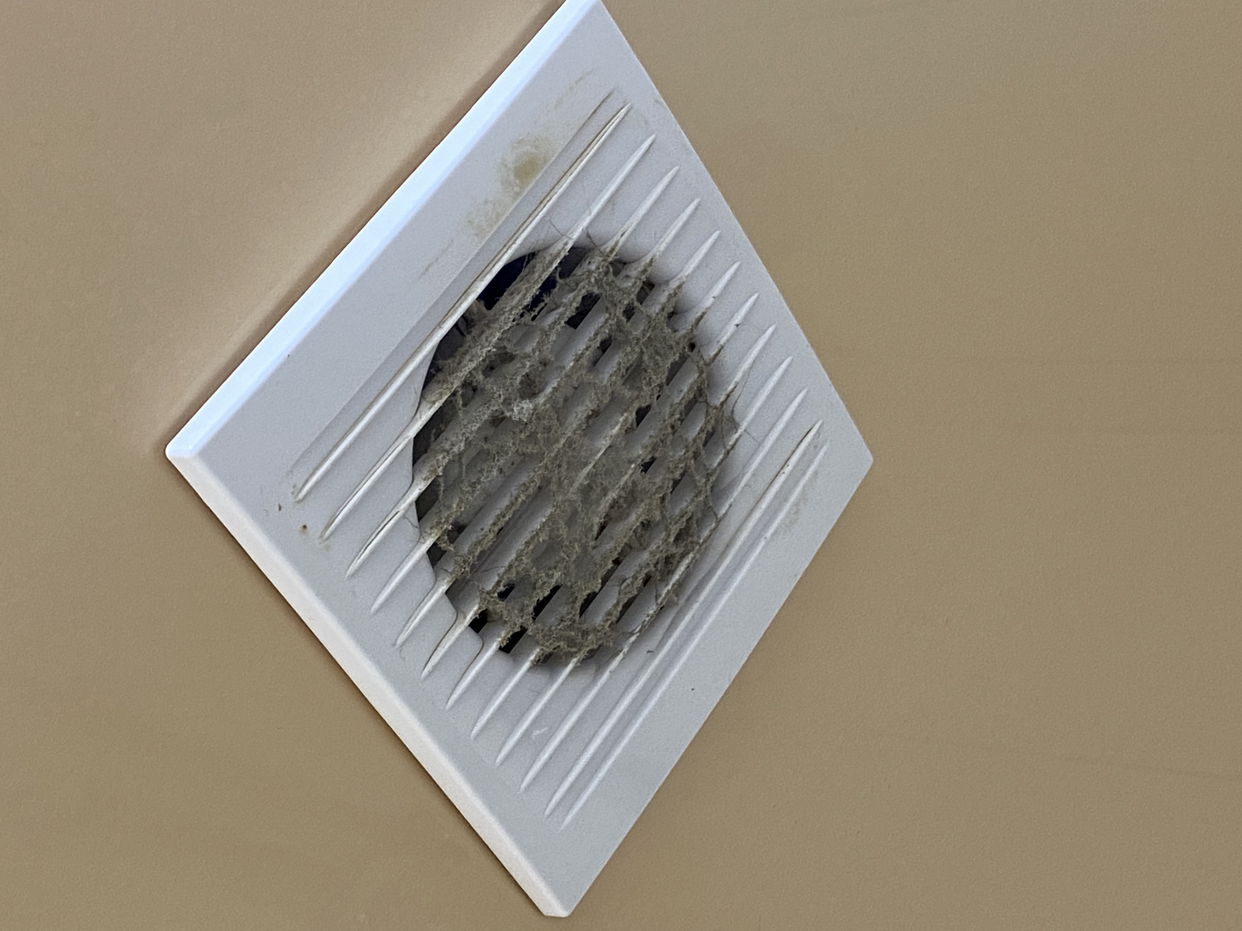 Фото Юность