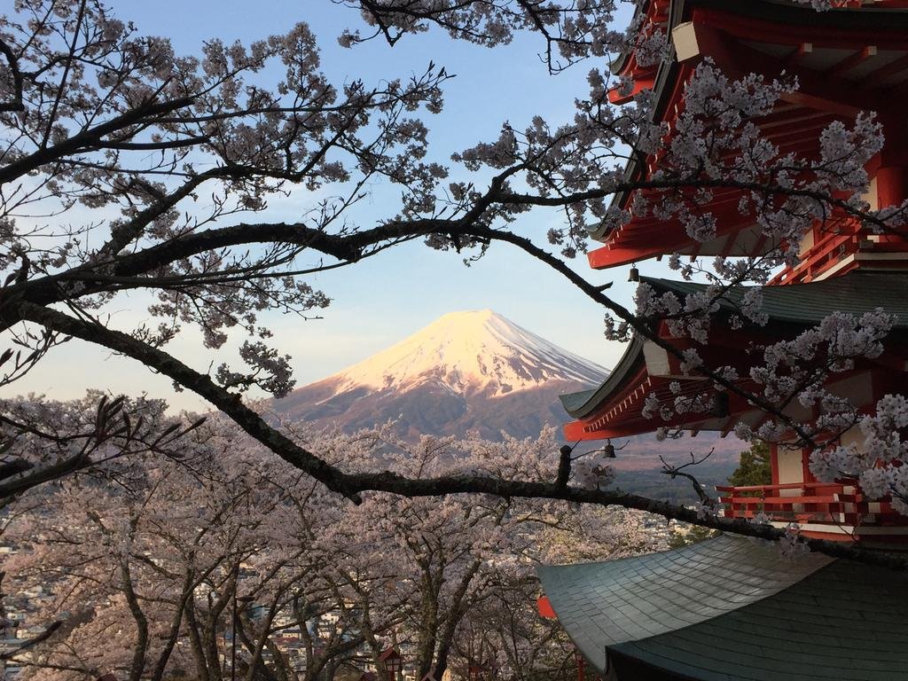 Фото Hotel Mystays Fuji Onsen Resort