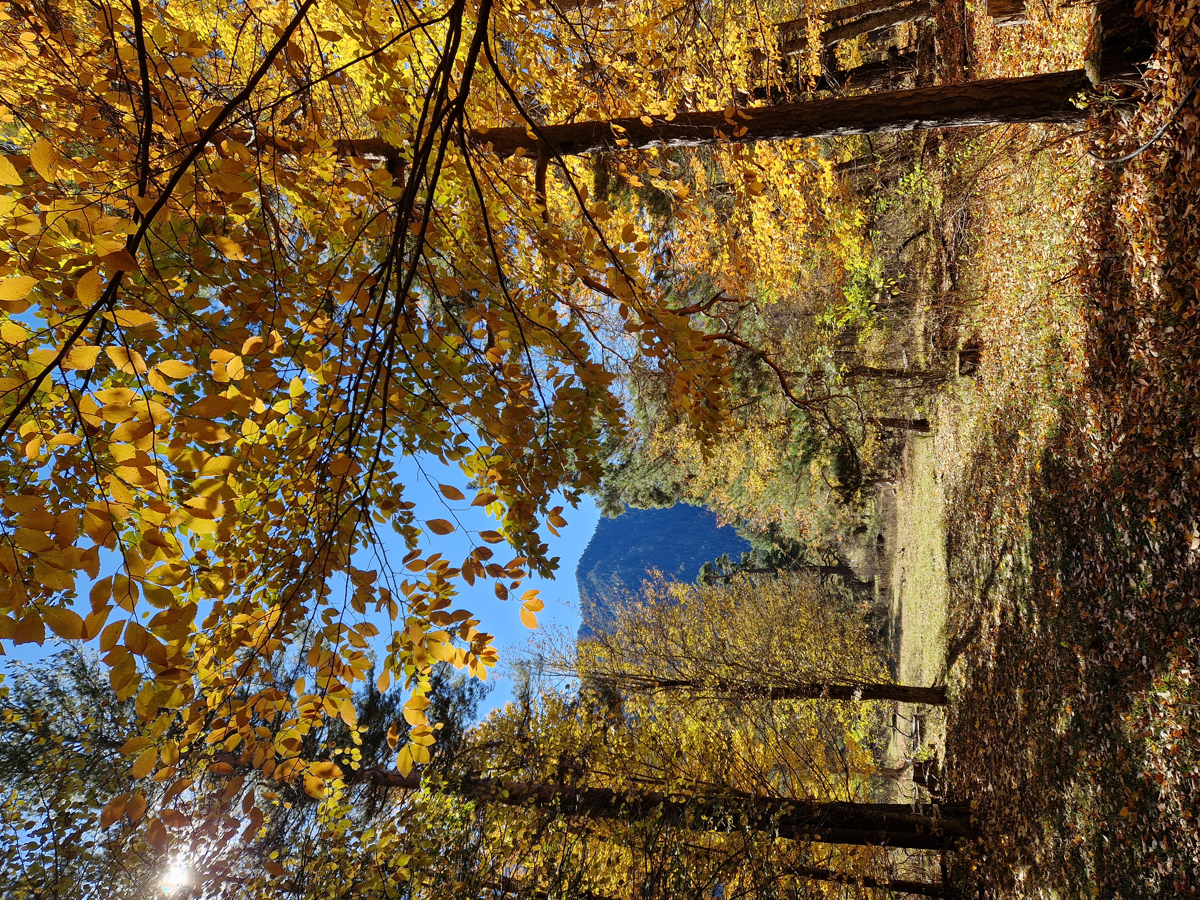 Фото Счастливые люди