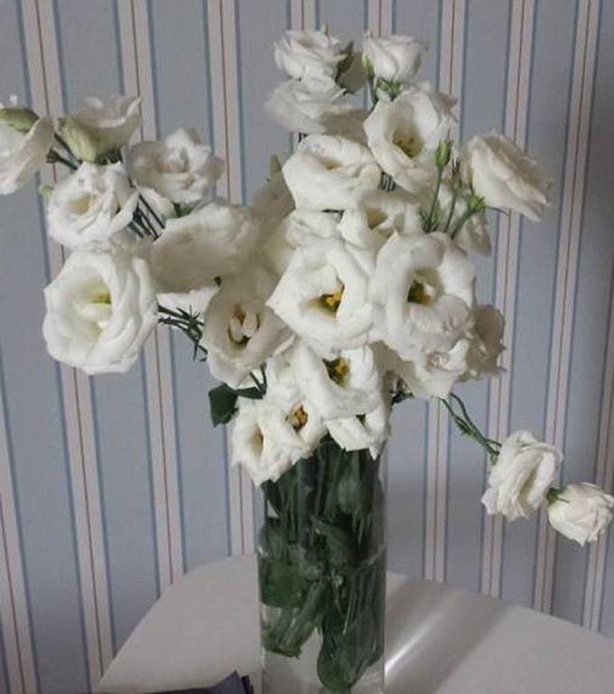 Фото B&b Porta Baresana