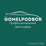 GomelPodbor (микрорайон Прудок, 1-й пер. Крупской, 1К), автоподбор в Гомеле