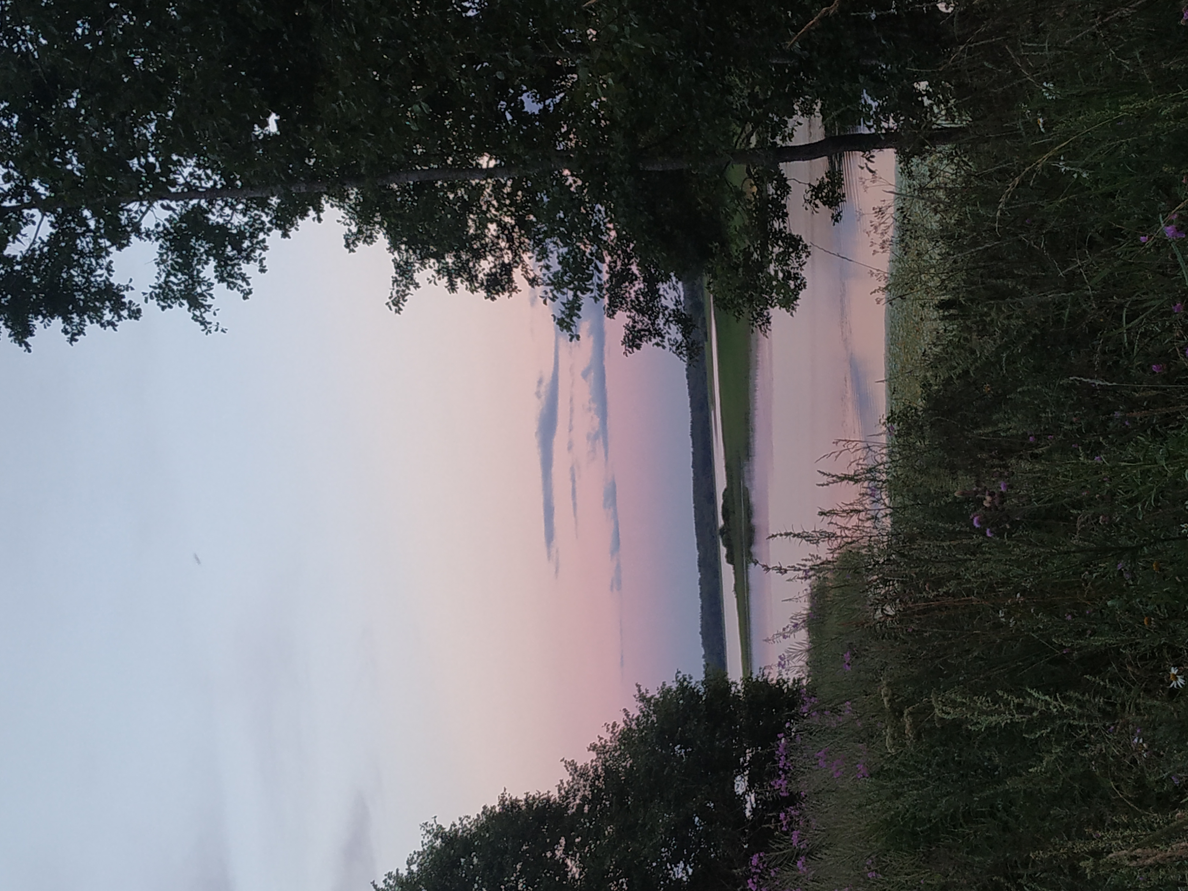 Фото Селигерская пасека