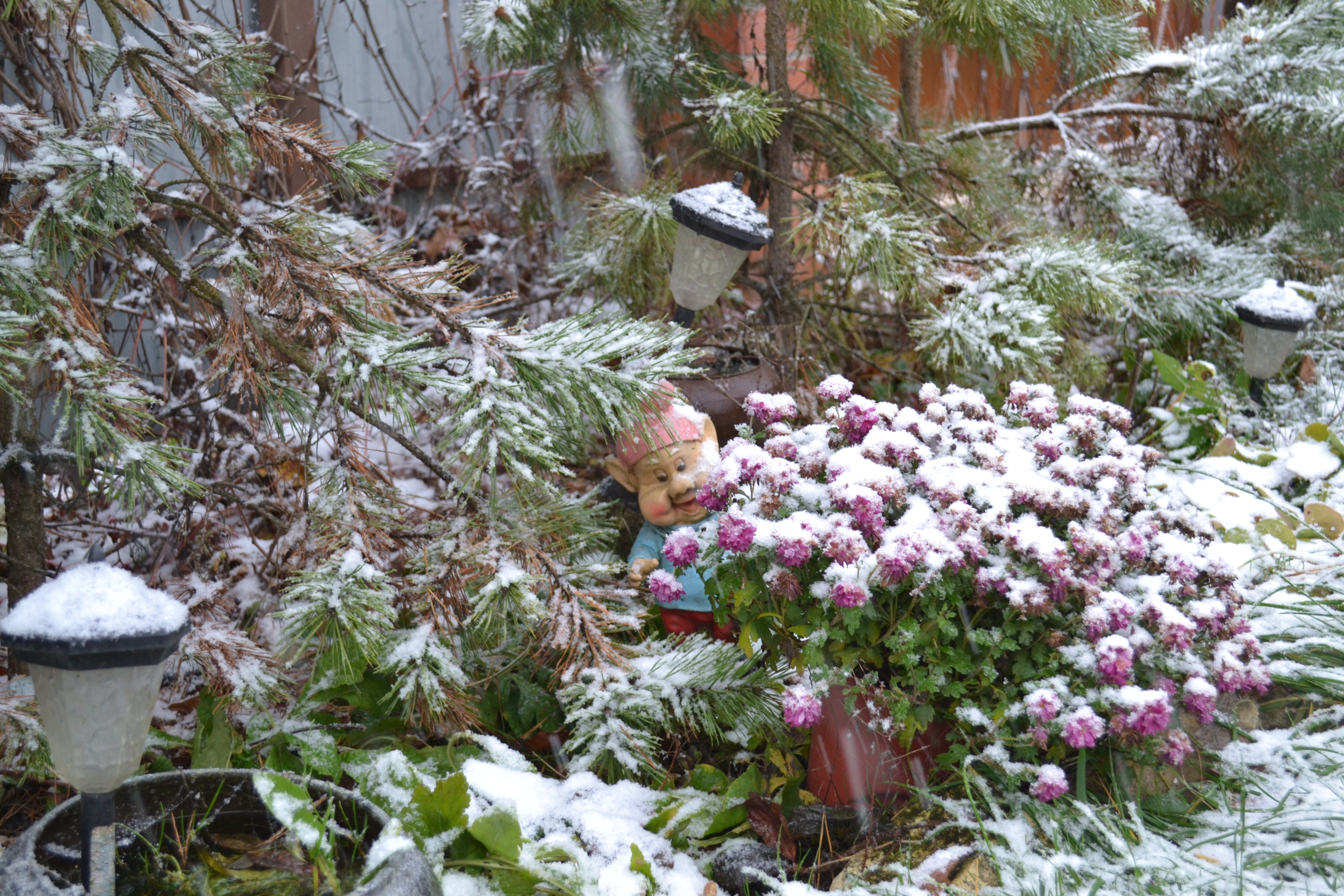 Фото Лисапедово