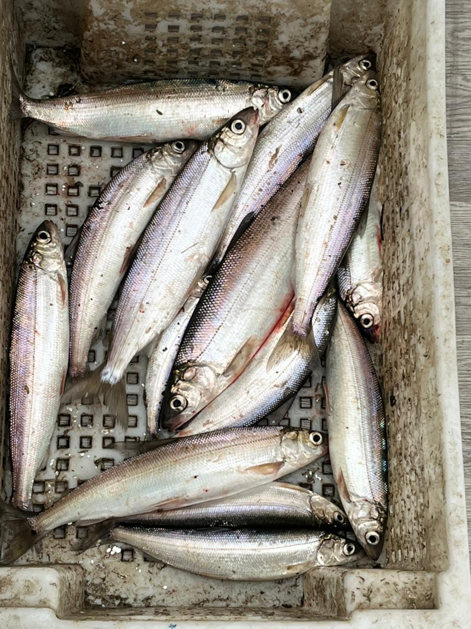 Фото Панорама