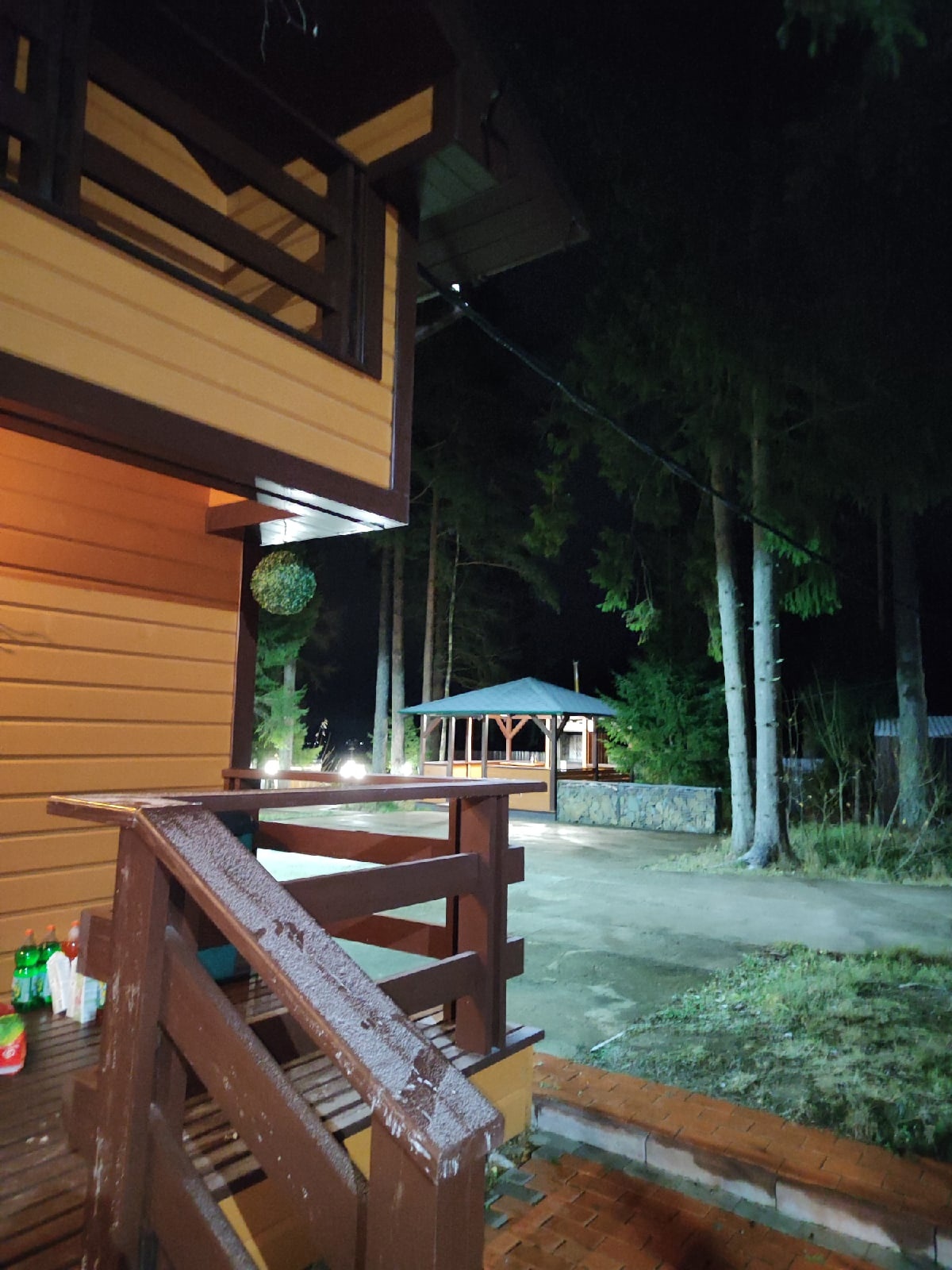 Фото Green Forest