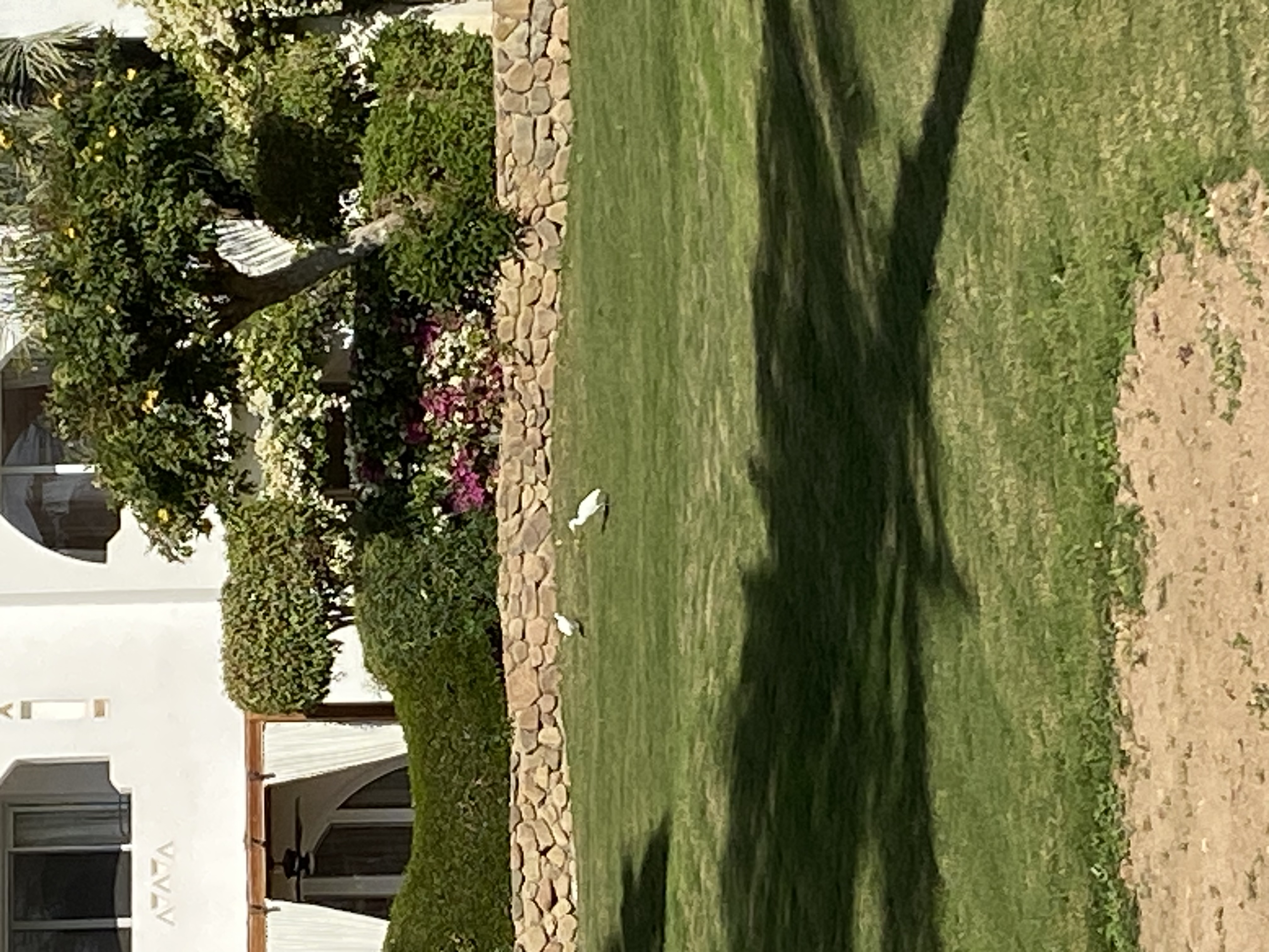 Фото Domina Coral Bay Resort, Diving, SPA & Casino