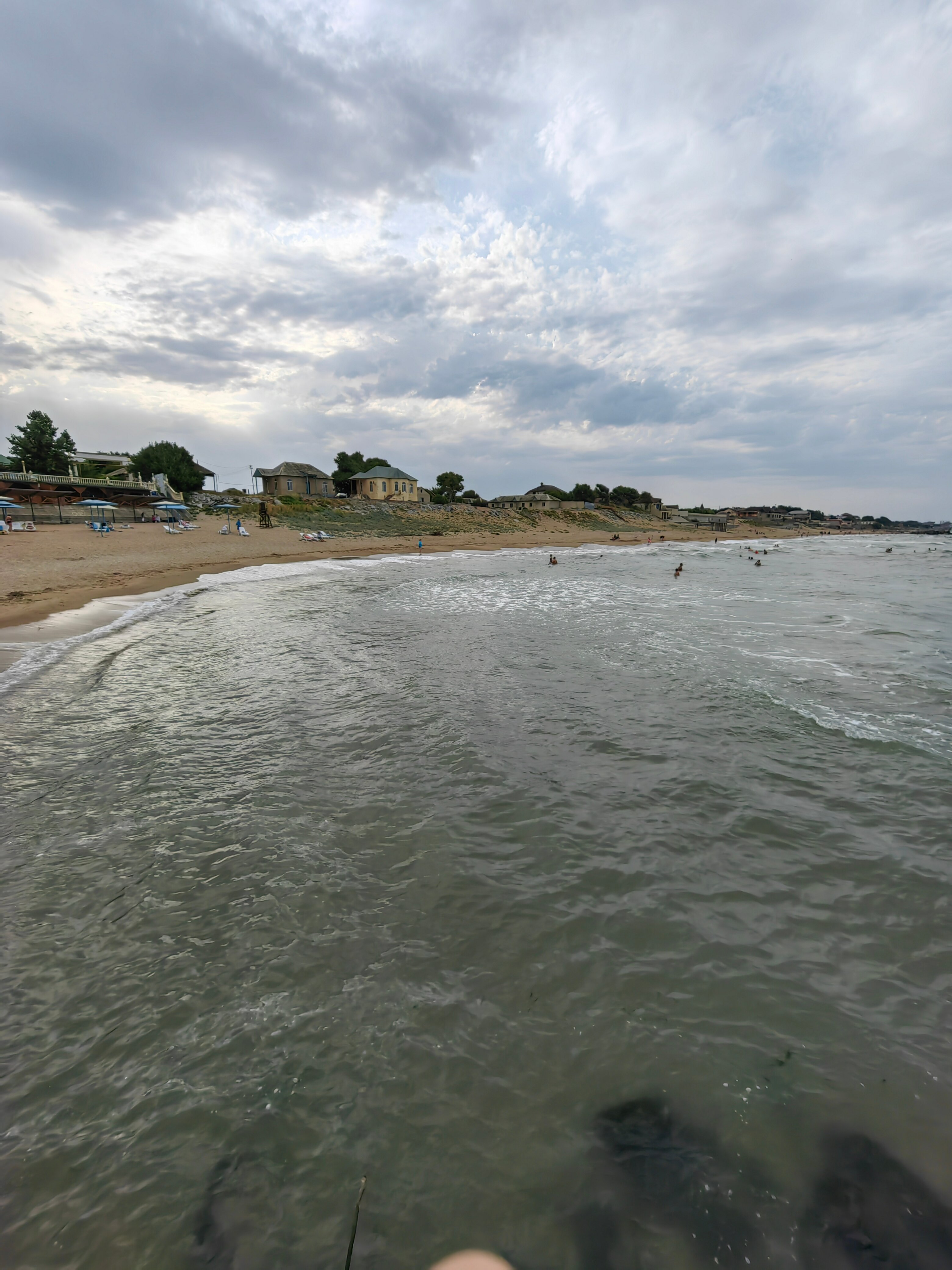 Фото Журавли