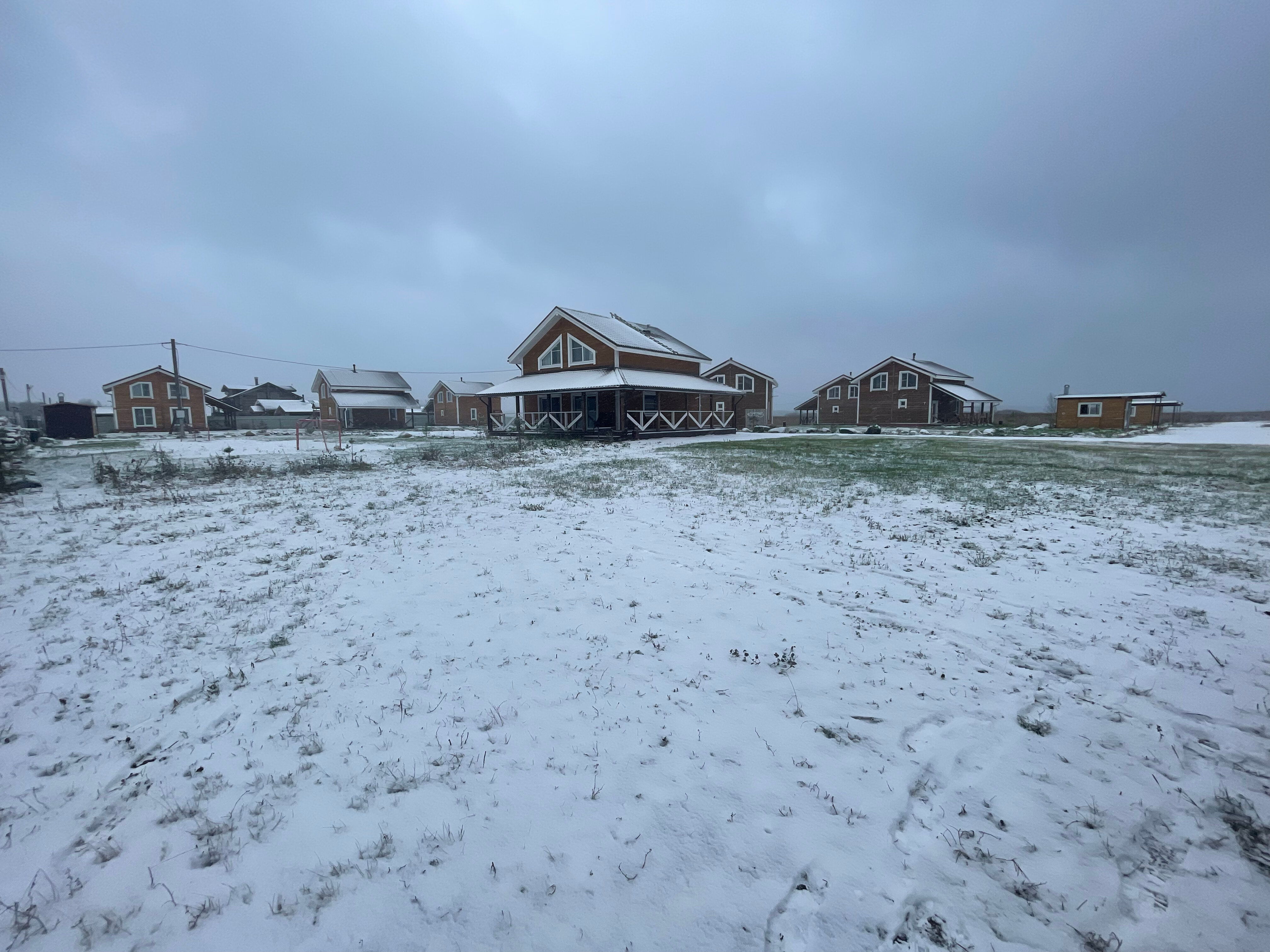 Фото Хитрый Лис