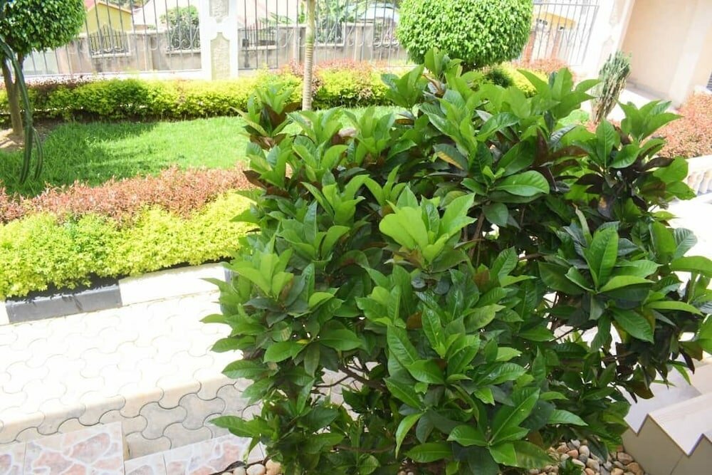 Фото Atlas Hoood 01