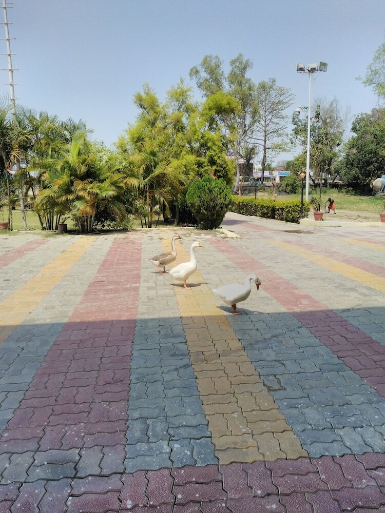 Фото Tahiti Resorts