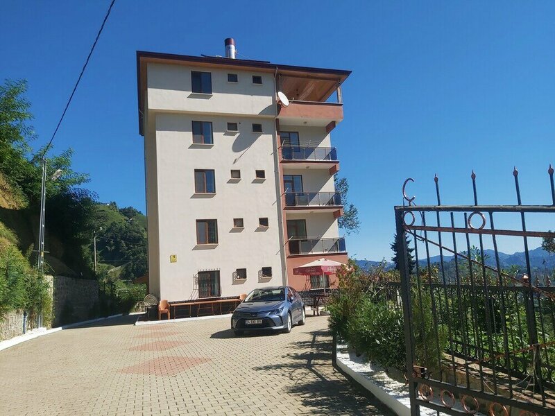 Гостиница Özel Tatil Evi в Чайэли