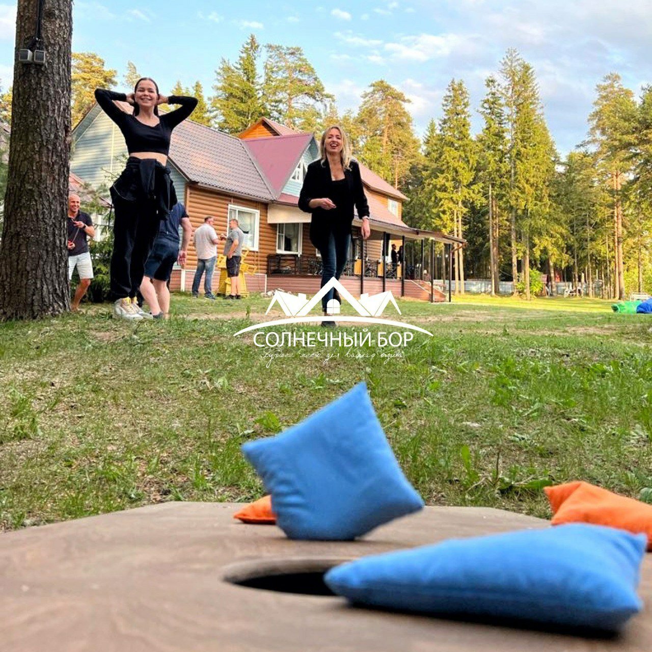 Фото Солнечный бор